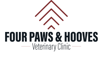 Four Paws Veterinary